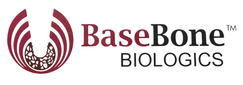 base bone marka logosu